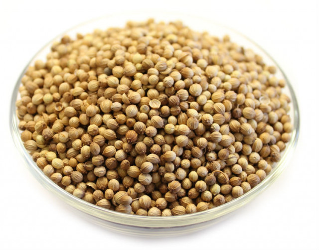 Coriander